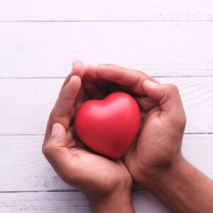 hands holding a heart
