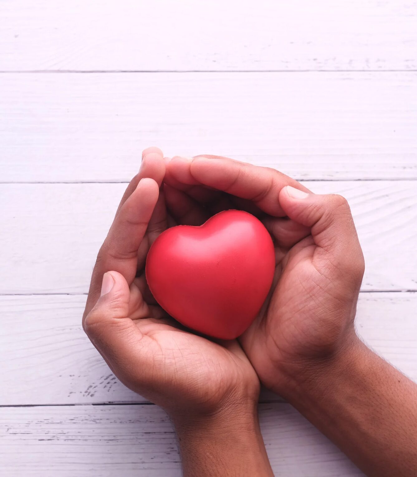 donation-hands hands holding a heart